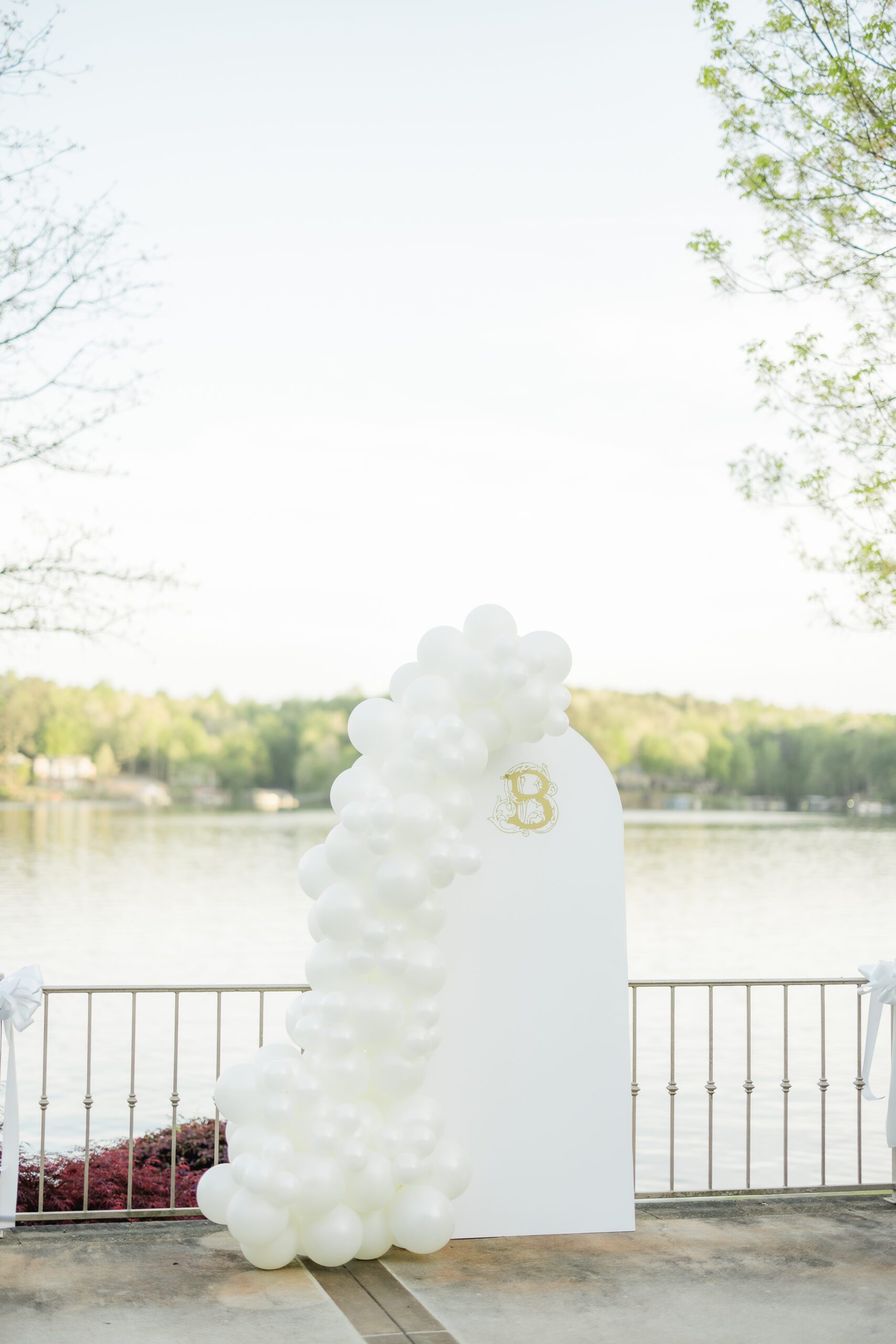 details at lakeside proposal at Smith Lake Alabama
