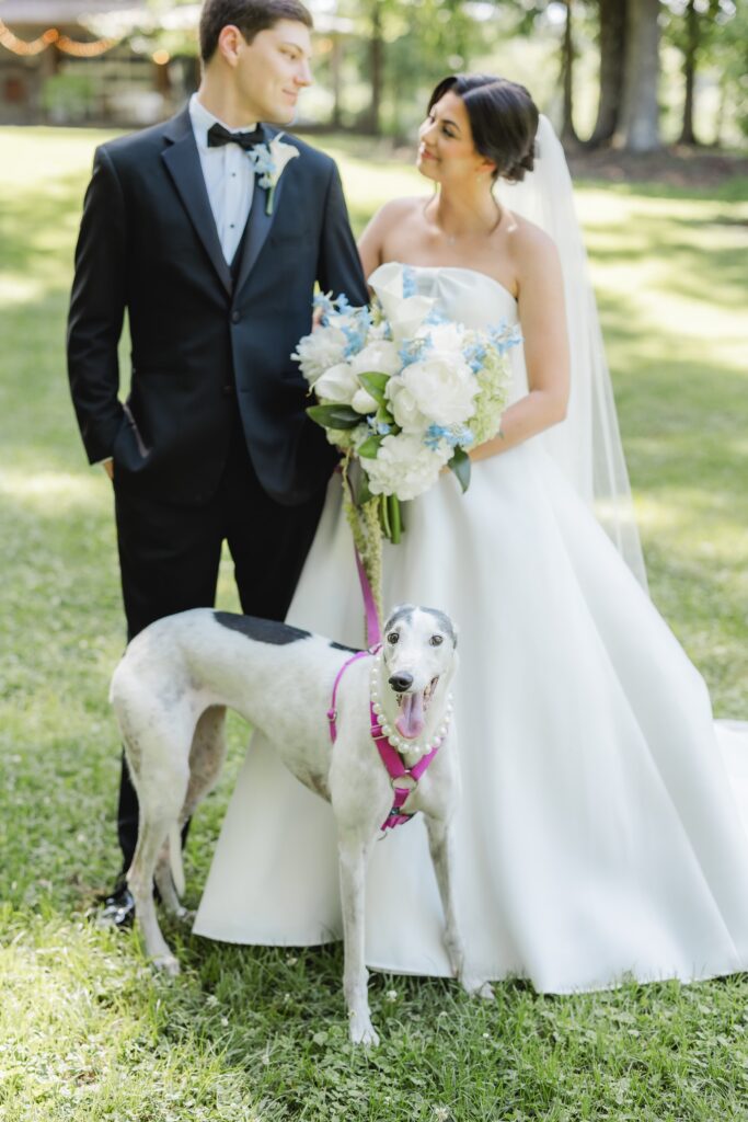 Abby and Jonathan posing with their greyhound during couple portraits after their first look at Mathew’s Manor.