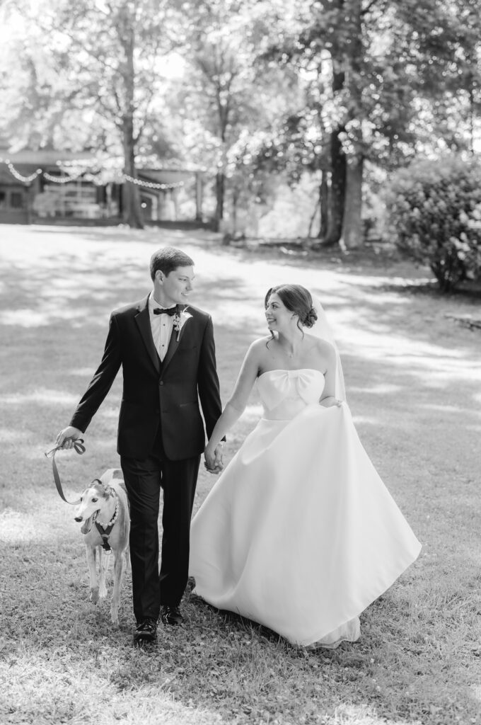 Abby and Jonathan walking with their greyhound during their wedding-day portraits.